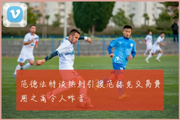 范德法特谈热刺引援范赫克交易费用之高令人咋舌